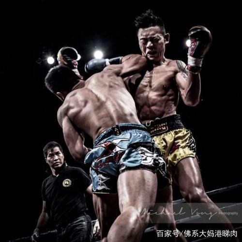 拳击vs摔跤直播间视频，谁才是真正的格斗之王？看直播前你得先搞懂这些